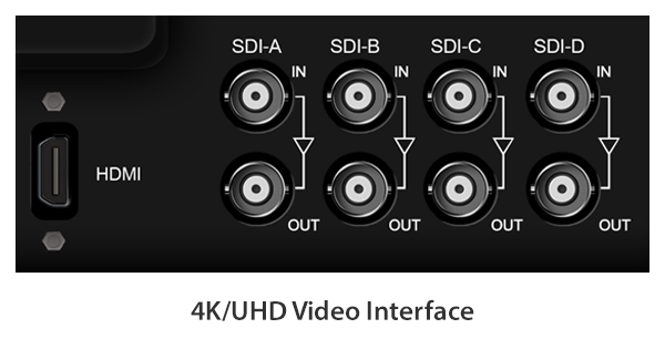 Various 4K/UHD Input & Output Options